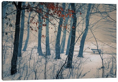 Frosty Morning In The City Park Canvas Art Print - ValeriX