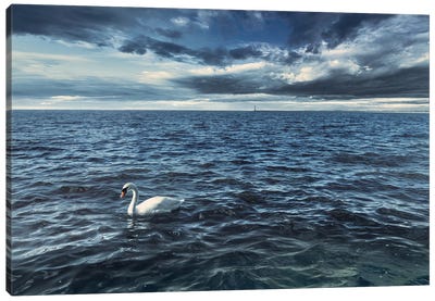 In The Blue Sea Of Sadness Canvas Art Print - Swan Art