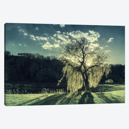 The Warm Rays Of Spring Canvas Print #VLR67} by ValeriX Canvas Art