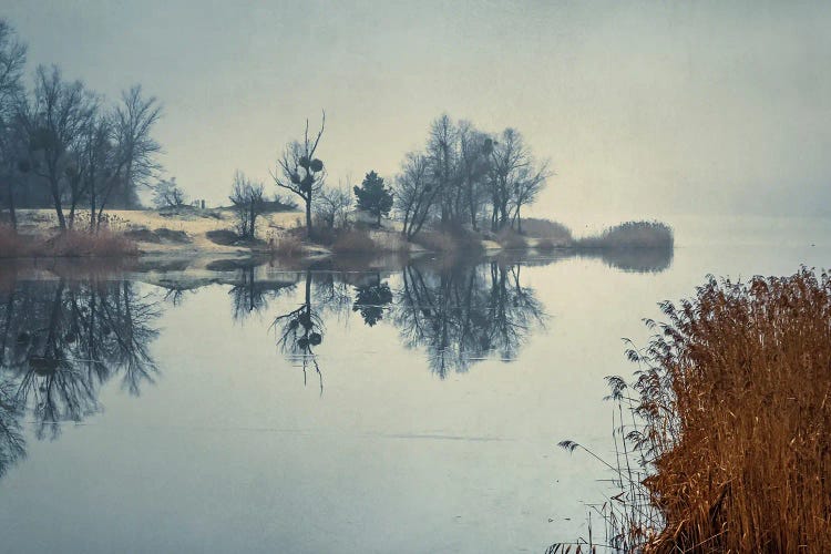 Foggy Morning On The Lake