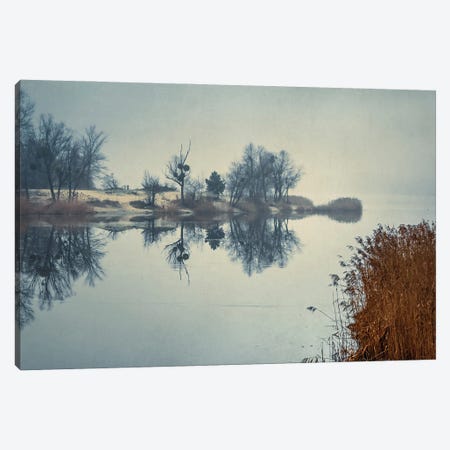 Foggy Morning On The Lake Canvas Print #VLR6} by ValeriX Canvas Art