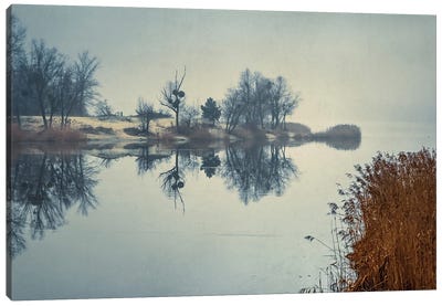 Foggy Morning On The Lake Canvas Art Print - ValeriX
