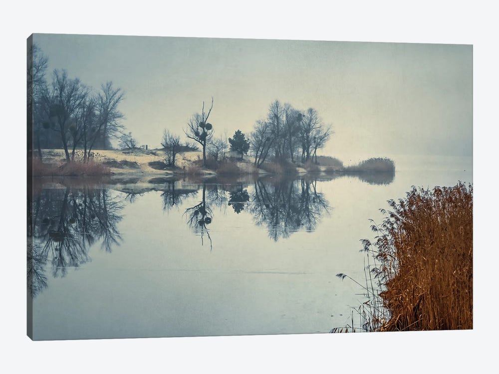 Foggy Morning On The Lake by ValeriX 1-piece Art Print