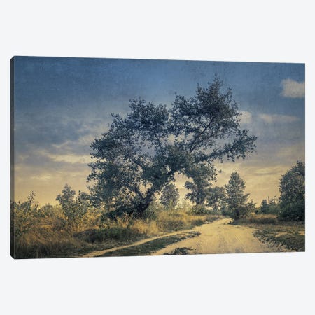 Roam The Roads In August Canvas Print #VLR71} by ValeriX Canvas Wall Art