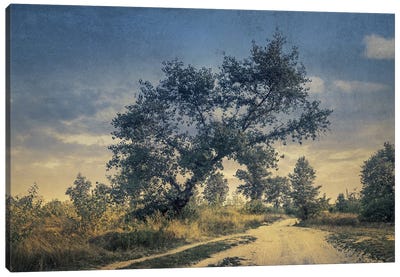 Roam The Roads In August Canvas Art Print - ValeriX