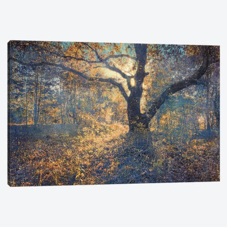 Autumn Palette In The Warm Light Canvas Print #VLR72} by ValeriX Canvas Art