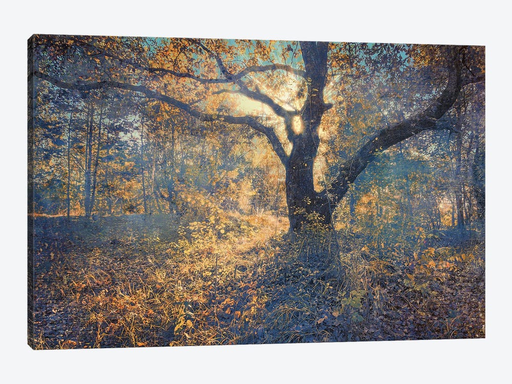 Autumn Palette In The Warm Light by ValeriX 1-piece Art Print