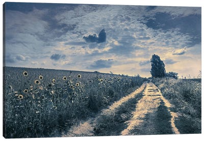 On The Way To August Canvas Art Print - ValeriX