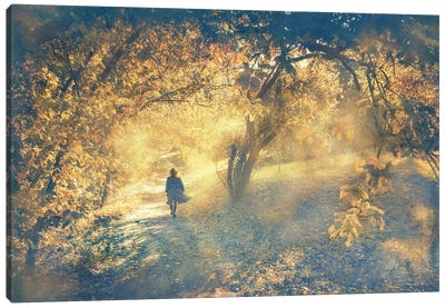 In The Sunny Forest Canvas Art Print - Kyiv Art