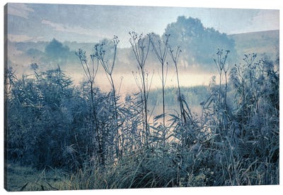Lake At Sunrise Canvas Art Print - ValeriX