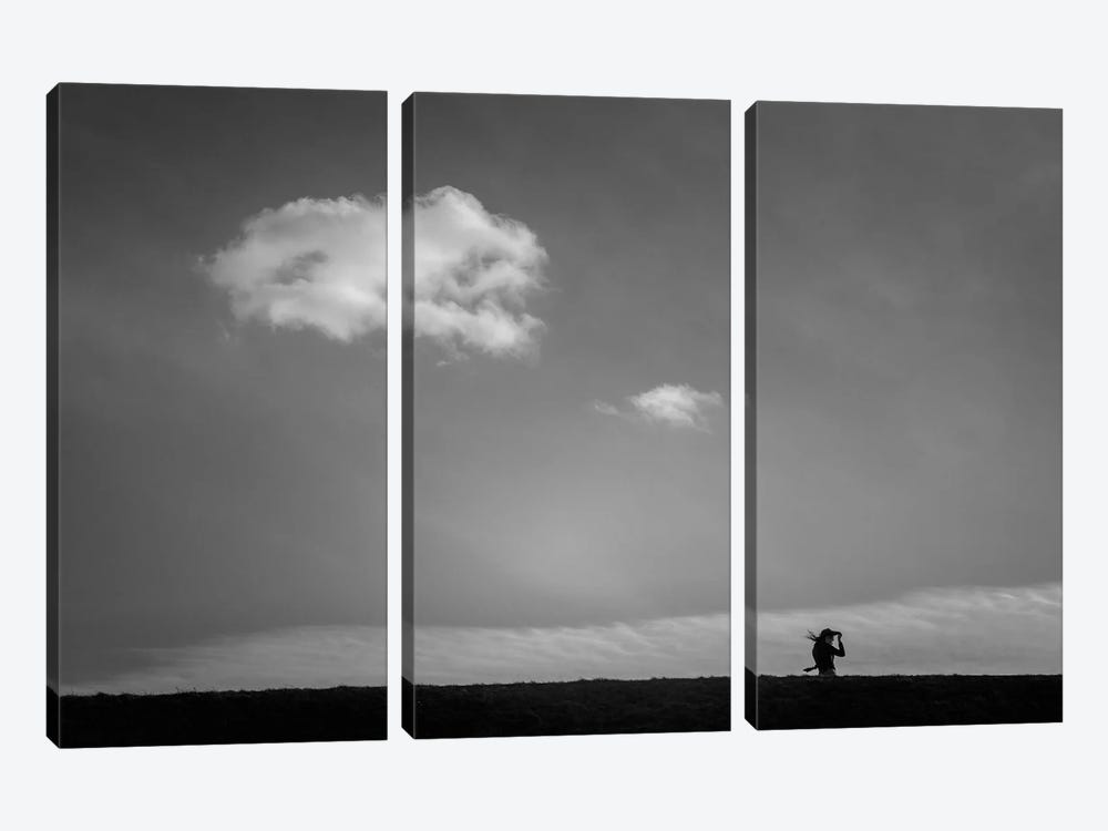 Walking With The Clouds by ValeriX 3-piece Canvas Wall Art