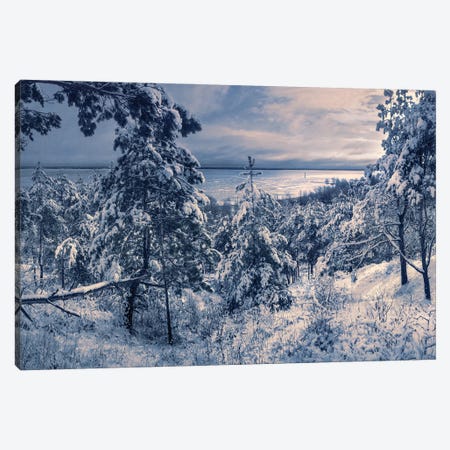 It Snowed In The Morning Canvas Print #VLR93} by ValeriX Canvas Artwork