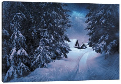 Winter's Tale Canvas Art Print - ValeriX