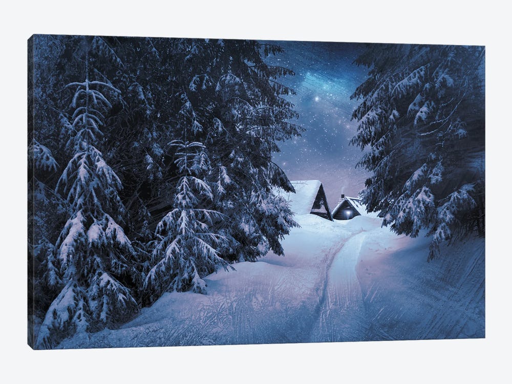 Winter's Tale by ValeriX 1-piece Canvas Art Print