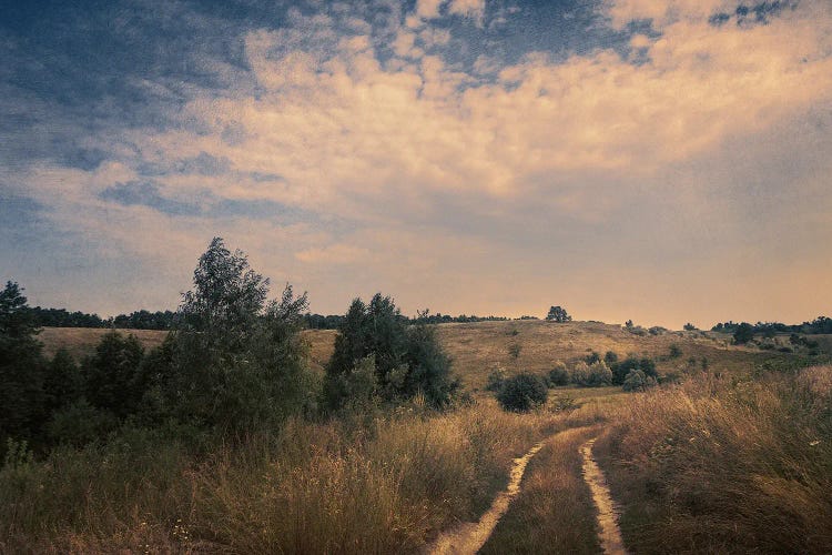 On The Road To Autumn