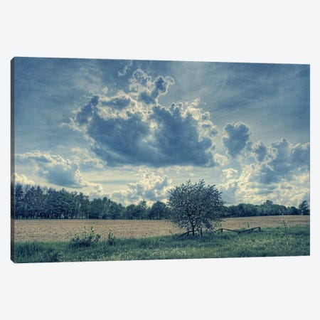 Under The Tender May Sky Canvas Print #VLR96} by ValeriX Art Print