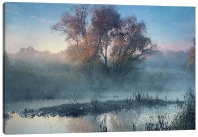 Five Minutes Before Dawn Canvas Art Print - ValeriX