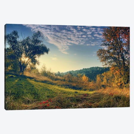 Early Morning Canvas Print #VLR99} by ValeriX Canvas Wall Art