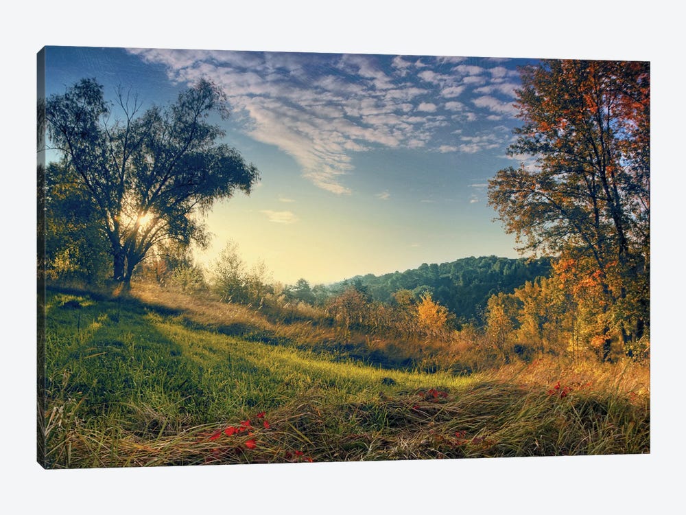 Early Morning by ValeriX 1-piece Canvas Wall Art