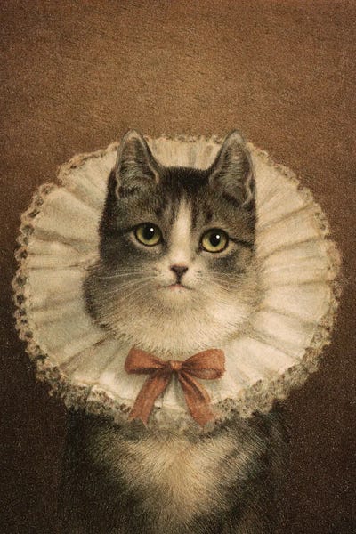 Royal Cat