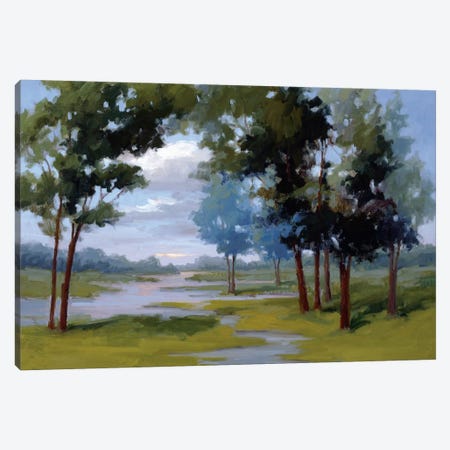 Wandering Water Canvas Print #VMC3} by Vicki McMurry Canvas Wall Art
