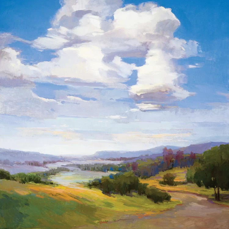 No Boundaries by Vicki McMurry wall art