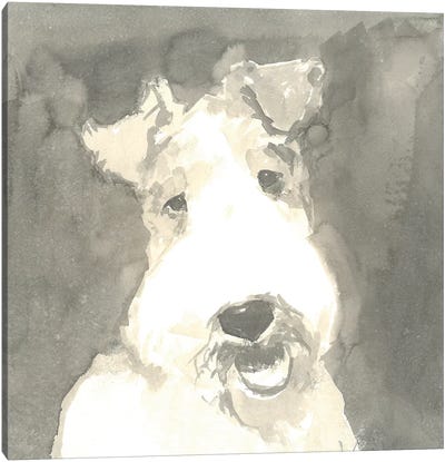 Sepia Modern Dog VI Canvas Art Print