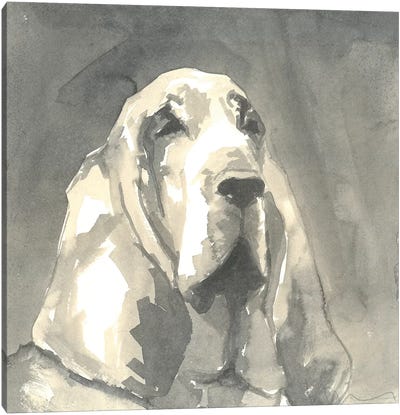 Sepia Modern Dog II Canvas Art Print