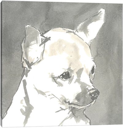 Sepia Modern Dog III Canvas Art Print