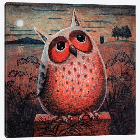 Owl Canvas Print #VMN100} by Vicky Mount Canvas Artwork