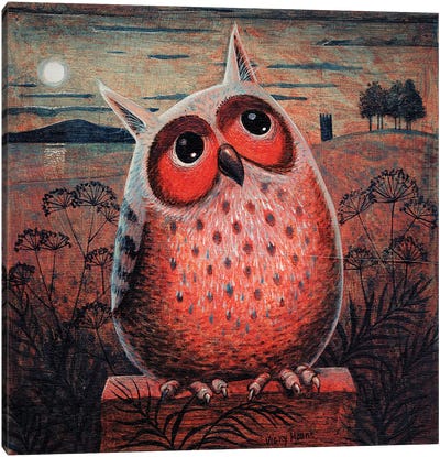 Owl Canvas Art Print - Vicky Mount