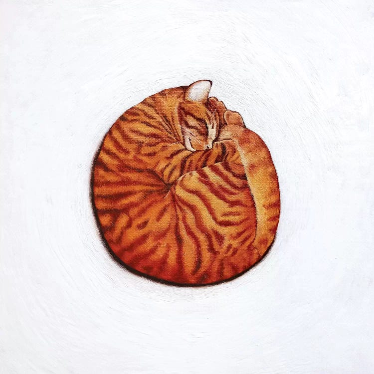 Round Peg by Vicky Mount wall art