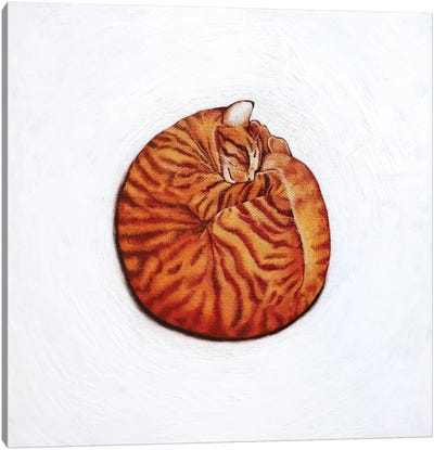 Round Peg Canvas Art Print - Orange Cat Art