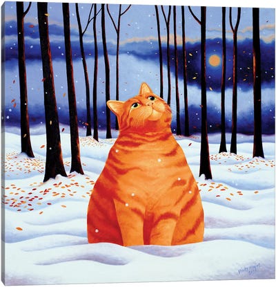 Sofrani Canvas Art Print - Orange Cat Art