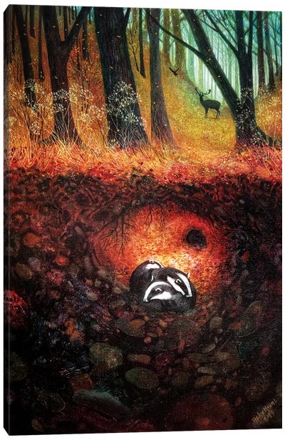 Three Badgers Canvas Art Print - Vicky Mount