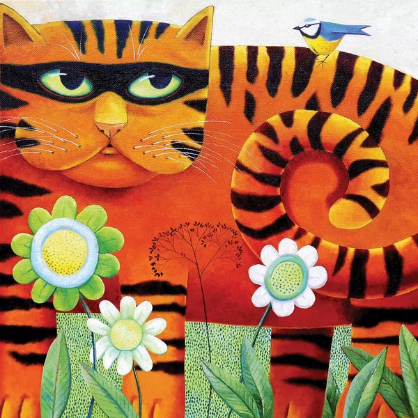 Tabbies: Bandit by Vicky Mount