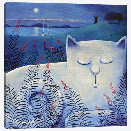 White Cat Canvas Print #VMN152} by Vicky Mount Art Print