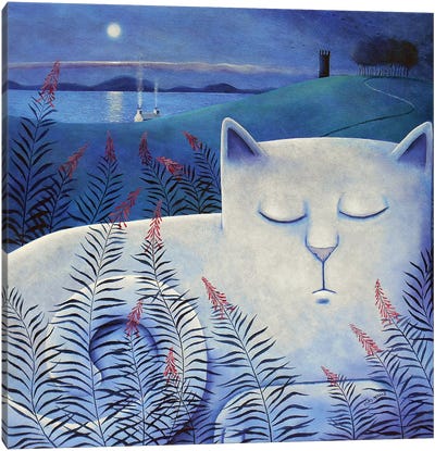 White Cat Canvas Art Print - Vicky Mount