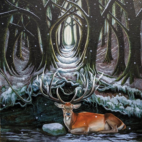 Rustic Winter: Solum by Vicky Mount