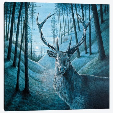 Blue Stag Canvas Print #VMN159} by Vicky Mount Canvas Art Print