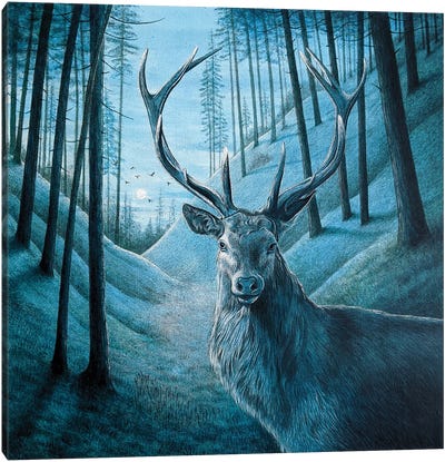 Blue Stag Canvas Art Print - Vicky Mount