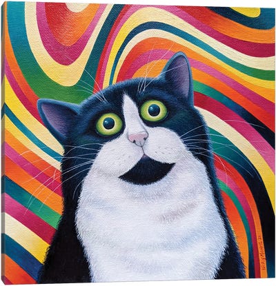 Catnip Trip Canvas Art Print - Tuxedo Cat Art