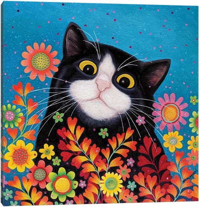Monty Canvas Art Print - Tuxedo Cat Art