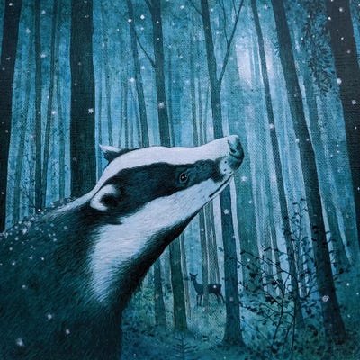 Beyond The Wild Wood by Vicky Mount framed wall art