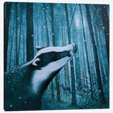 Beyond The Wild Wood Canvas Print #VMN18} by Vicky Mount Art Print