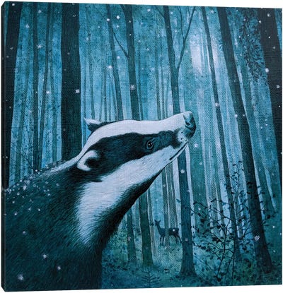 Beyond The Wild Wood Canvas Art Print - Vicky Mount