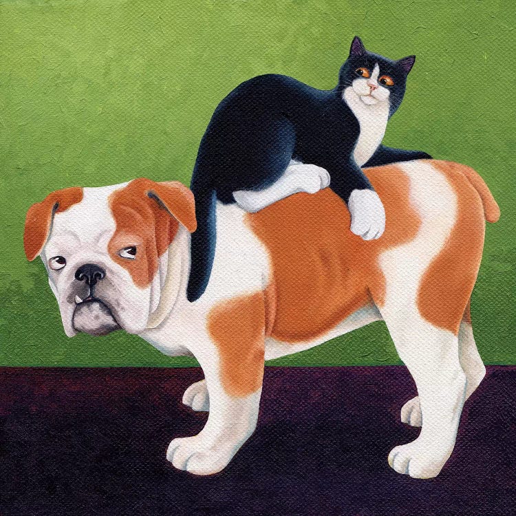 Bulldog And Cat