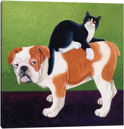 Bulldog And Cat Canvas Art Print - Bulldog Art