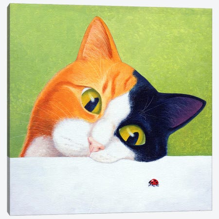 Cat With Ladybird Canvas Print #VMN28} by Vicky Mount Canvas Wall Art
