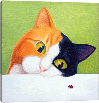 Cat With Ladybird Canvas Art Print - Calico Cat Art